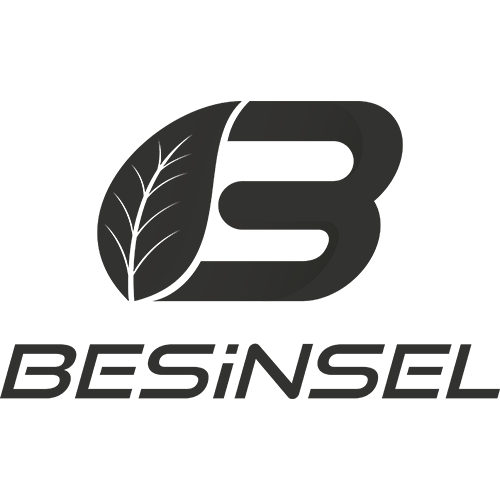 Besinsel